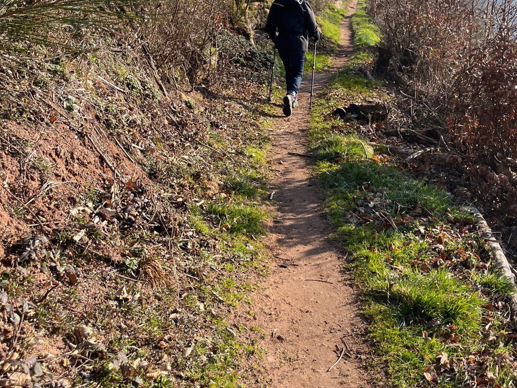 23-03-03 09-31-35 4593